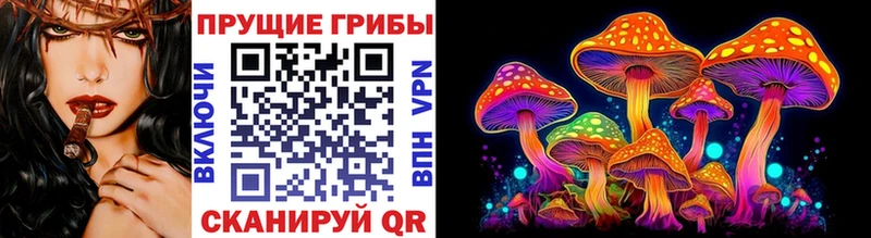 Галлюциногенные грибы Cubensis  Верхнеуральск 