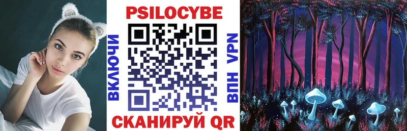 Псилоцибиновые грибы Psilocybe Верхнеуральск