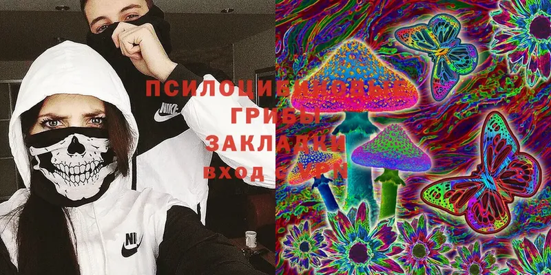 Галлюциногенные грибы Magic Shrooms  даркнет сайт  Верхнеуральск 